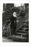 Portrait of the author Count Lev Nikolayevich Tolstoy by Anonymous