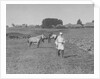 Count Lev Nikolayevich Tolstoy walking by Anonymous