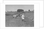 Count Lev Nikolayevich Tolstoy walking by Anonymous