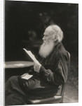 Portrait of the author Count Lev Nikolayevich Tolstoy by Anonymous