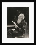 Portrait of the author Count Lev Nikolayevich Tolstoy by Anonymous