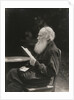 Portrait of the author Count Lev Nikolayevich Tolstoy by Anonymous
