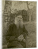 Portrait of the author Count Lev Nikolayevich Tolstoy by Anonymous