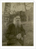 Portrait of the author Count Lev Nikolayevich Tolstoy by Anonymous