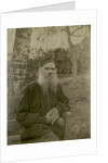 Portrait of the author Count Lev Nikolayevich Tolstoy by Anonymous