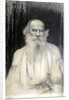 Portrait of the author Count Lev Nikolayevich Tolstoy by Anonymous