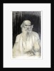 Portrait of the author Count Lev Nikolayevich Tolstoy by Anonymous
