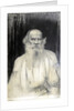 Portrait of the author Count Lev Nikolayevich Tolstoy by Anonymous