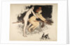 Witches by Anonymous
