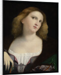 Portrait of a Woman by Anonymous