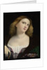 Portrait of a Woman by Anonymous