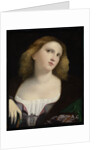 Portrait of a Woman by Anonymous