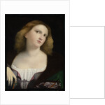 Portrait of a Woman by Anonymous