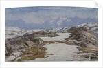 Glacier. Bernina by Anonymous