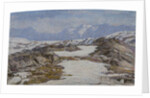 Glacier. Bernina by Anonymous