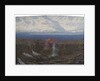 The Sound of the Stream by Anonymous