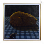 Red Cat by Anonymous