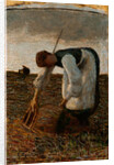 The hay harvest by Anonymous