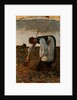 The hay harvest by Anonymous