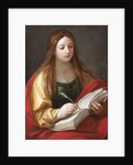Sibyl by Anonymous