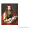 Sibyl by Anonymous