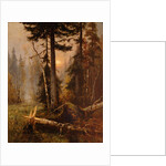 Forest Thicket by Anonymous