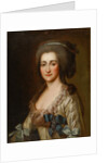 Portrait of Princess Ekaterina Alexeevna Vorontsova by Anonymous