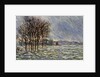 Flood Waters by Anonymous
