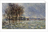 Flood Waters by Anonymous