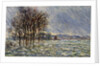 Flood Waters by Anonymous