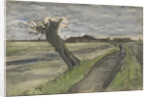 Pollard Willow by Anonymous
