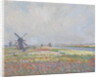 Tulip fields near The Hague by Anonymous