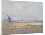 Tulip fields near The Hague by Anonymous