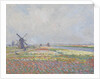 Tulip fields near The Hague by Anonymous