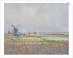 Tulip fields near The Hague by Anonymous