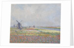 Tulip fields near The Hague by Anonymous
