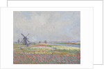 Tulip fields near The Hague by Anonymous