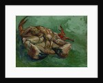A Crab on its Back by Anonymous