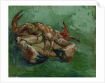 A Crab on its Back by Anonymous