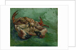 A Crab on its Back by Anonymous