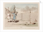 The game of svayka by Anonymous