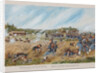 The Battle near Ostrovno on 25 July 1812 by Anonymous