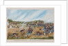 The Battle near Ostrovno on 25 July 1812 by Anonymous