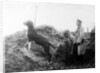 German Officer with his dog in the trenches, c.1914 by Anonymous