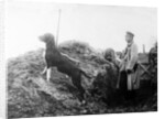 German Officer with his dog in the trenches, c.1914 by Anonymous