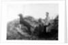 German Officer with his dog in the trenches, c.1914 by Anonymous