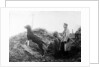 German Officer with his dog in the trenches, c.1914 by Anonymous