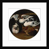 Two doves and a thrush by Anonymous