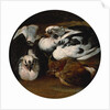 Two doves and a thrush by Anonymous