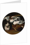 Two doves and a thrush by Anonymous